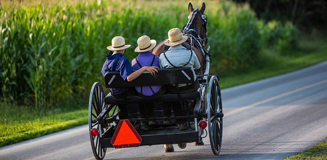 Why these Amish live longer and healthier: An internal Fountain of Youth